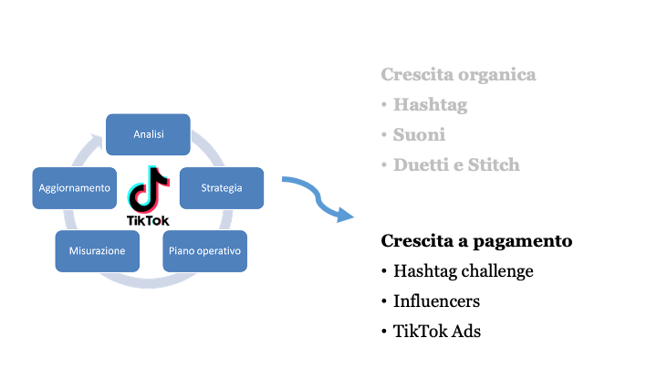 strategia pagamento TikTok overview