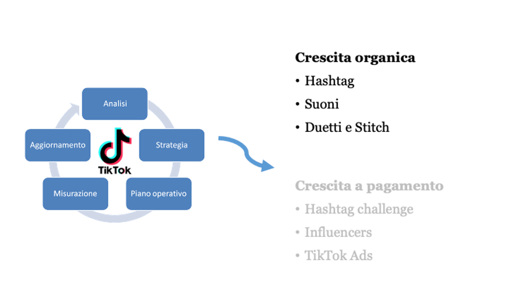 Fig. 1 strategia crescita organica