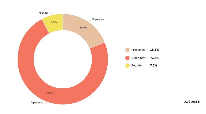 report BITBOSS - tipologia di developer