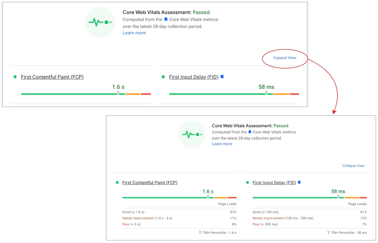 nuova schermata expanded view in arrivo nella nuova versione di google pagespeed insights