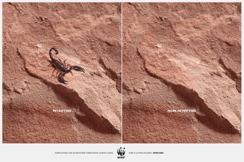 wwf 03 campagne geniali