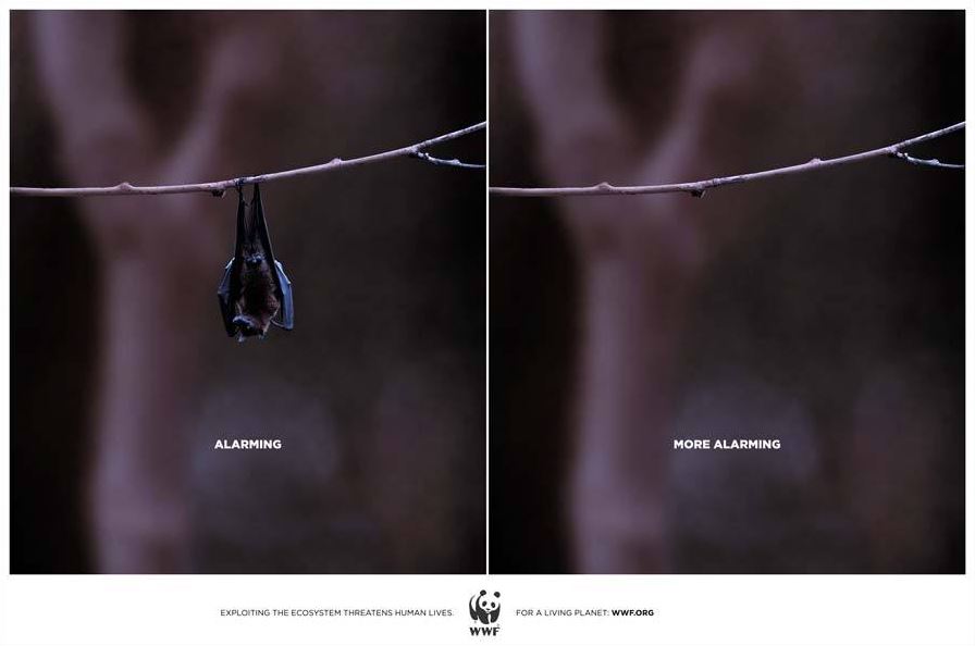 wwf 06 campagne geniali